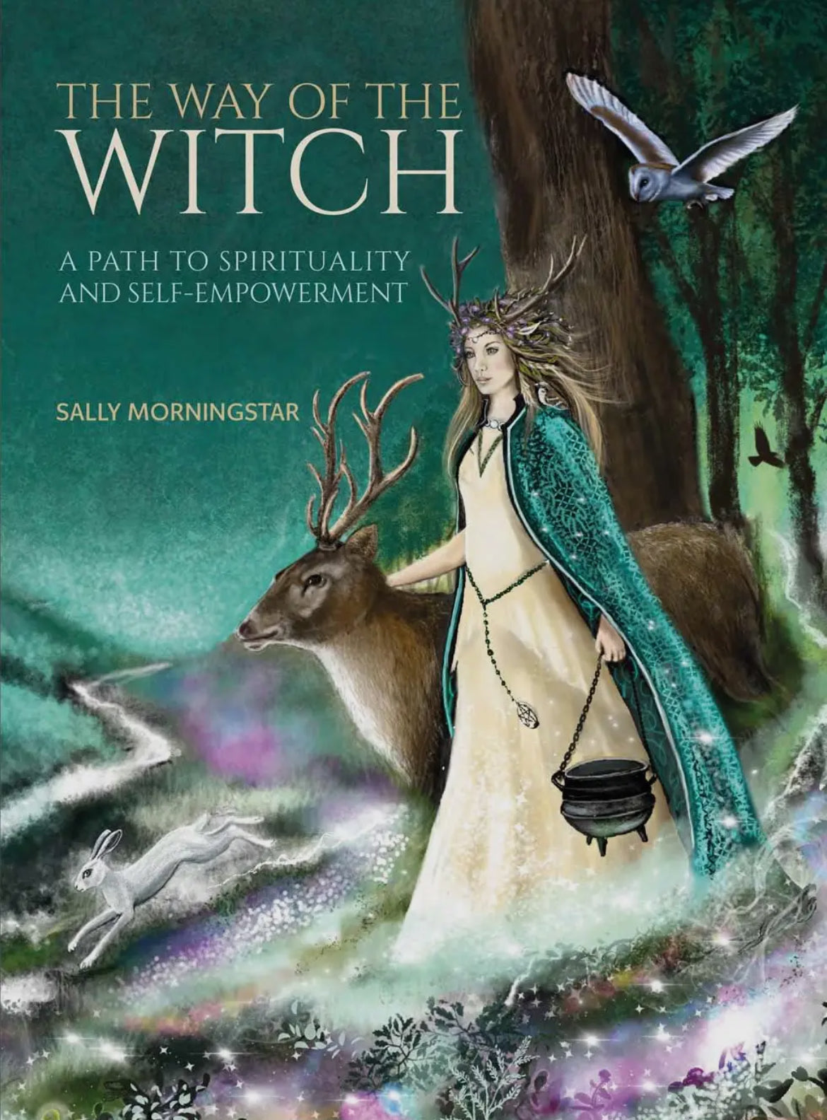 The Way of the Witch (Hardcover, Fully Illustrated)