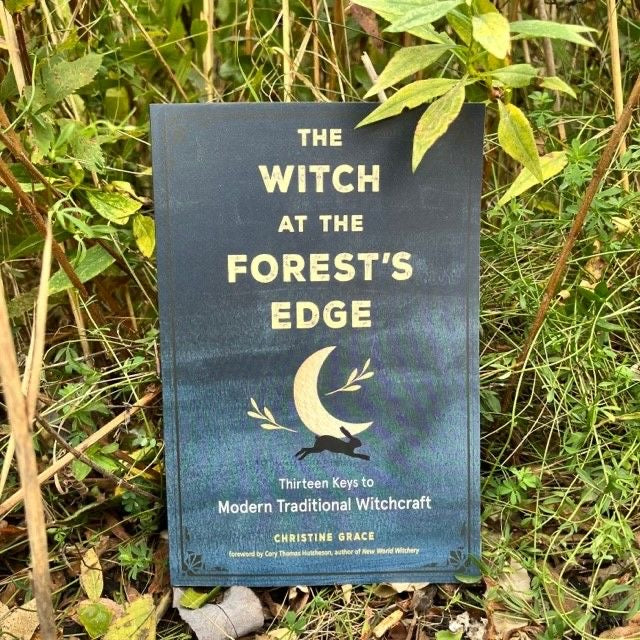 The Witch at the Forest's Edge Book