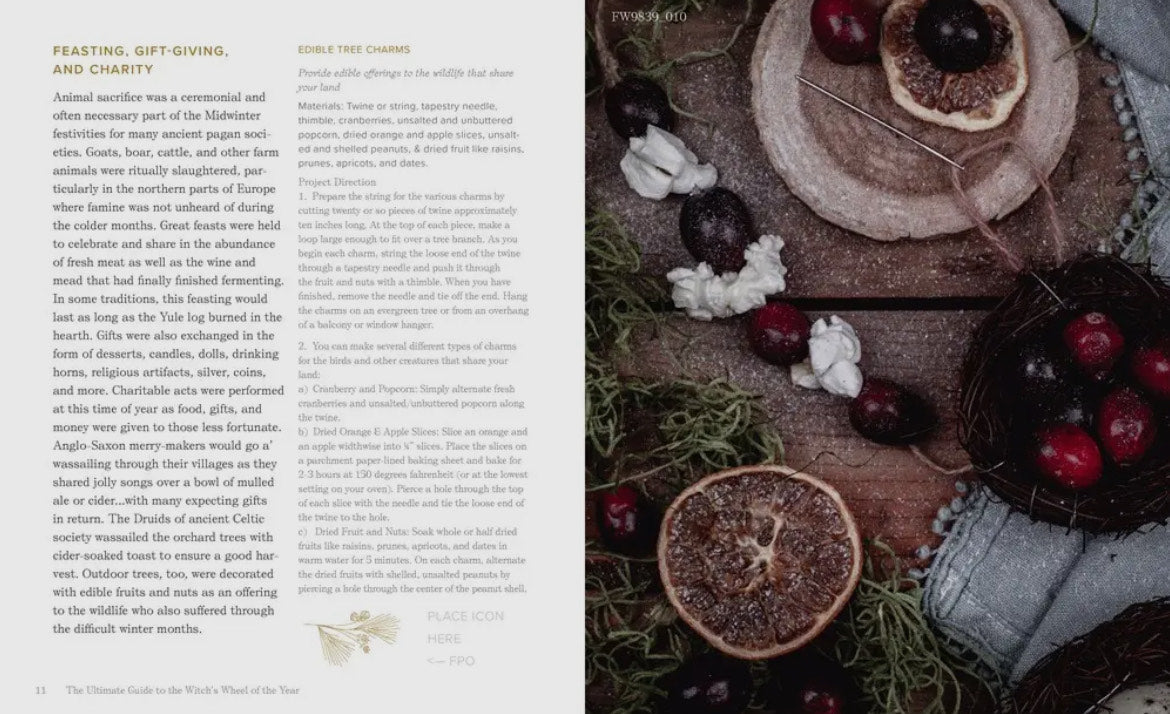 Ultimate Guide To the Witch's Wheel of the Year- Anjou Kiernan