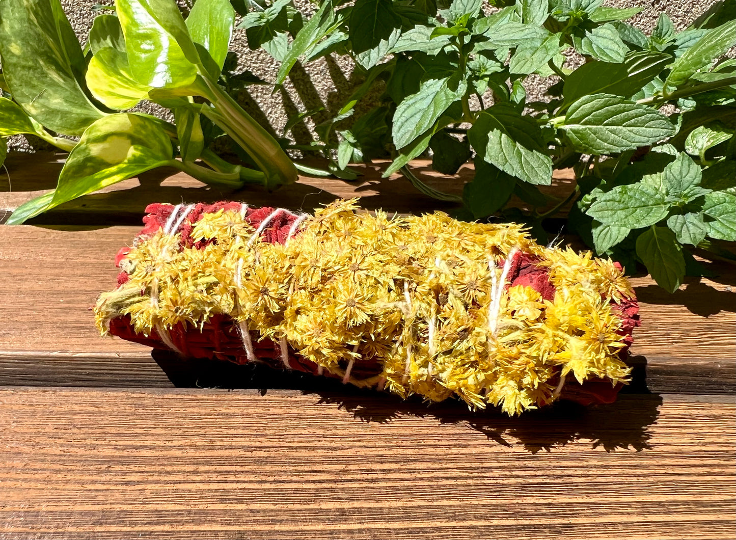Dragon Blood Sage with Wildflower 4" Smudge Stick