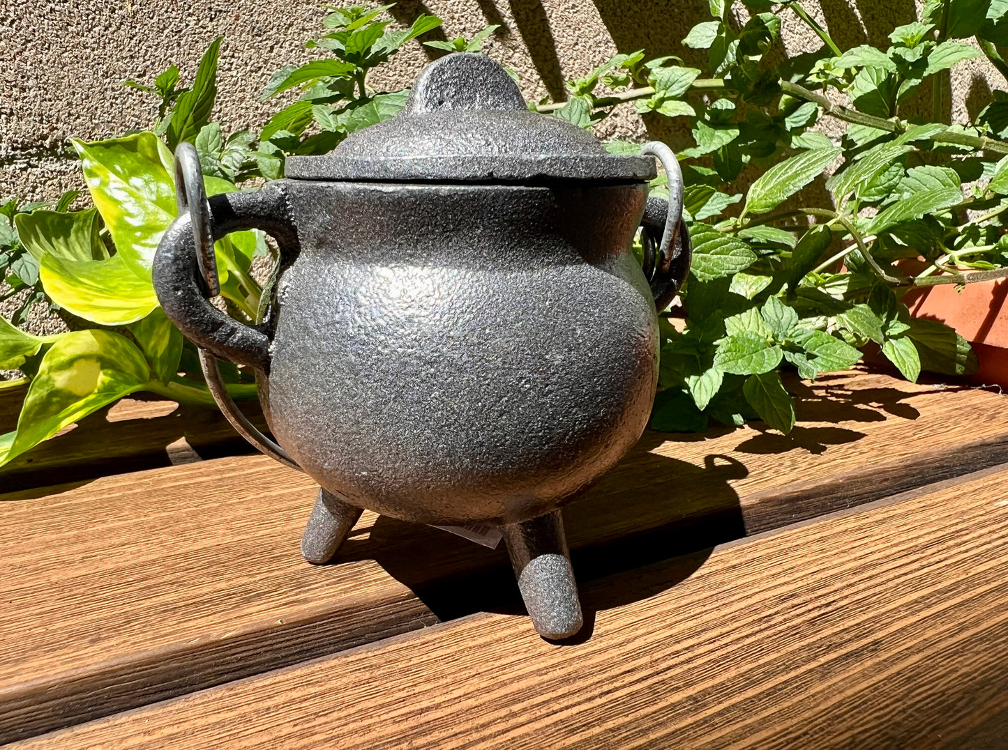 Plain Mini Cast Iron Cauldron 3.5 Inch with Lid