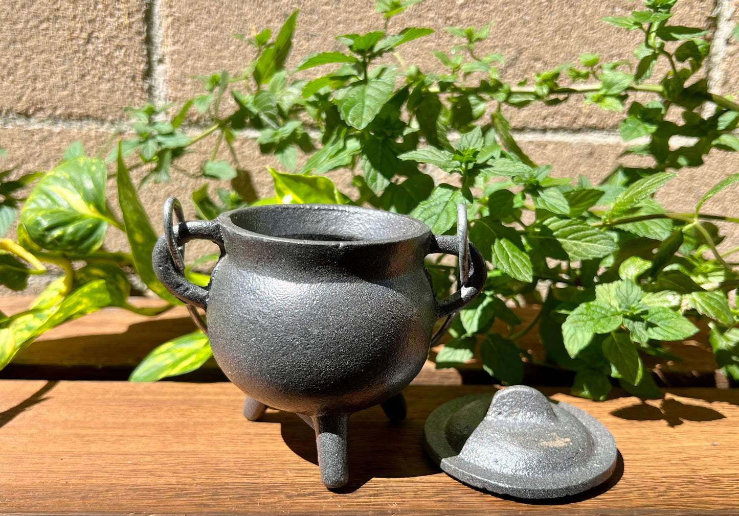 Plain Mini Cast Iron Cauldron 3.5 Inch with Lid