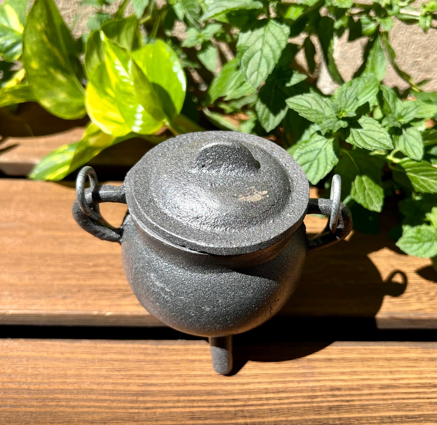 Plain Mini Cast Iron Cauldron 3.5 Inch with Lid