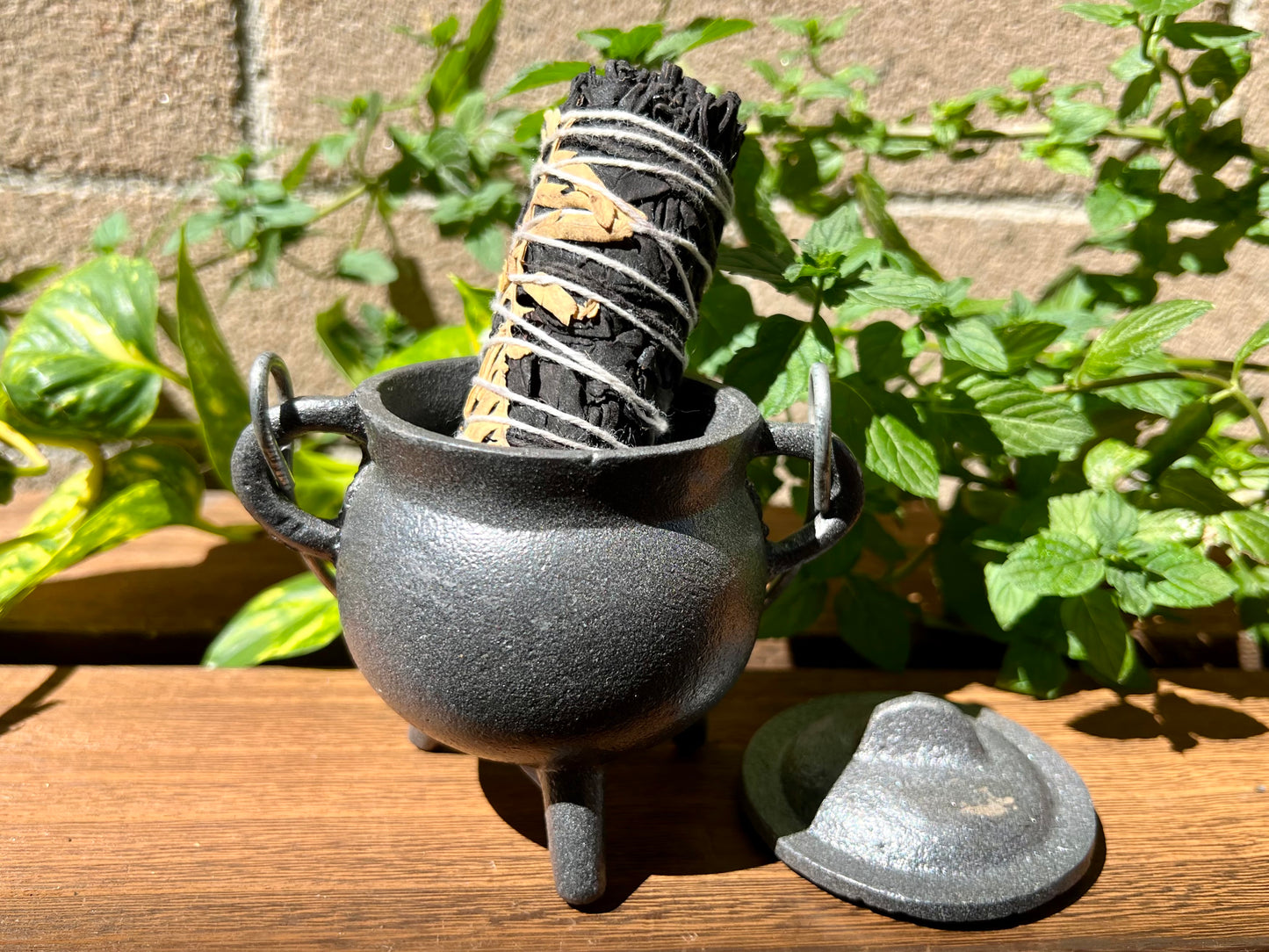 Terra Floral White Sage 4" Smudge Sticks