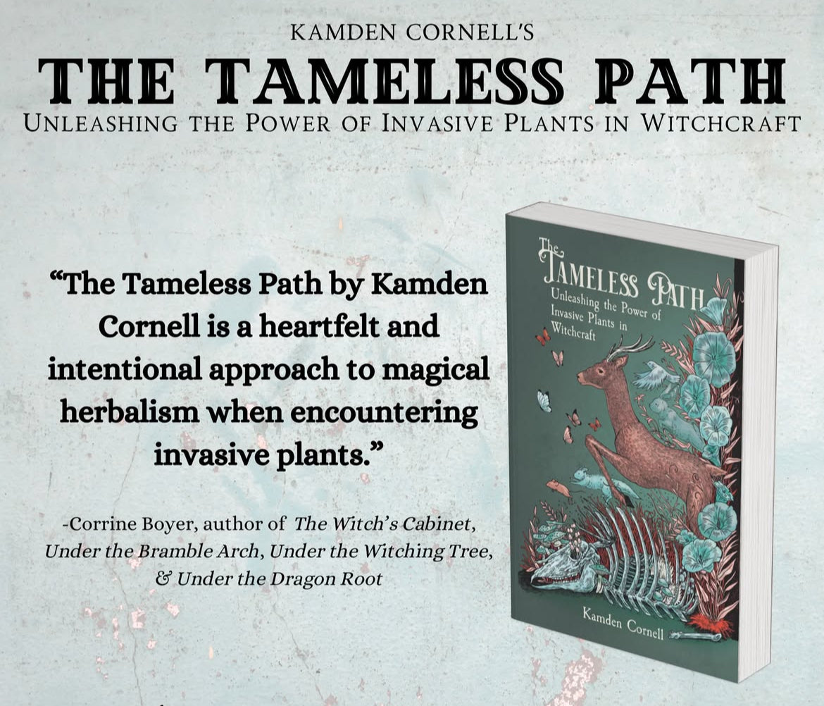 The Tameless Path:Unleashing the Power of Invasive Plants in Witchcraft