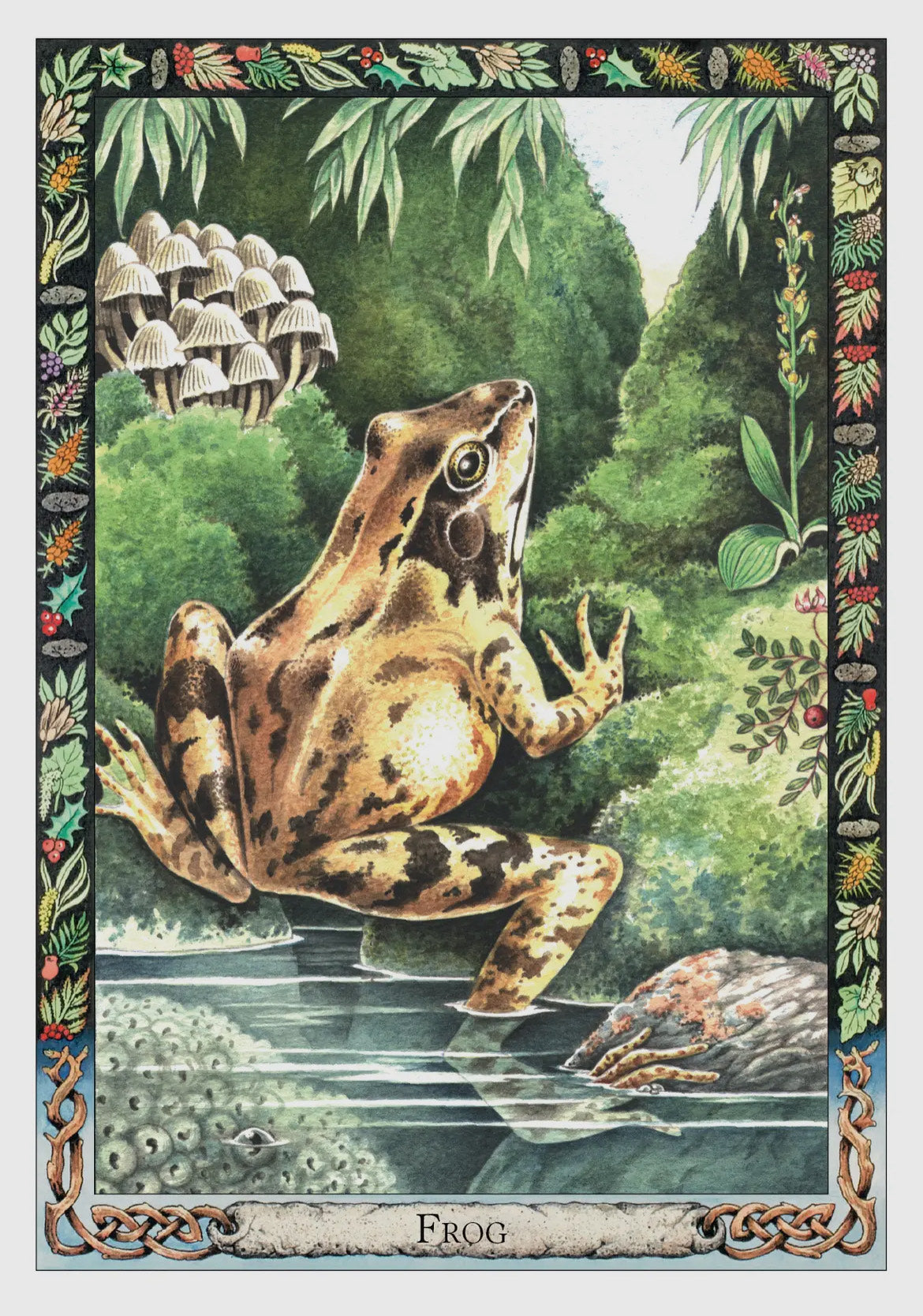 The Druid Animal Oracle Deck (36 Cards and 48 Page Booklet)