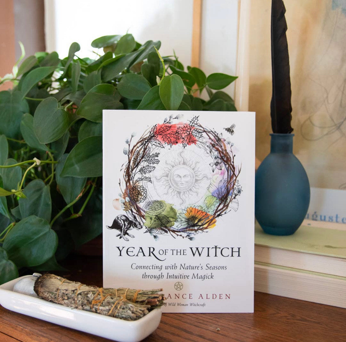 Year of the Witch (Paperback)