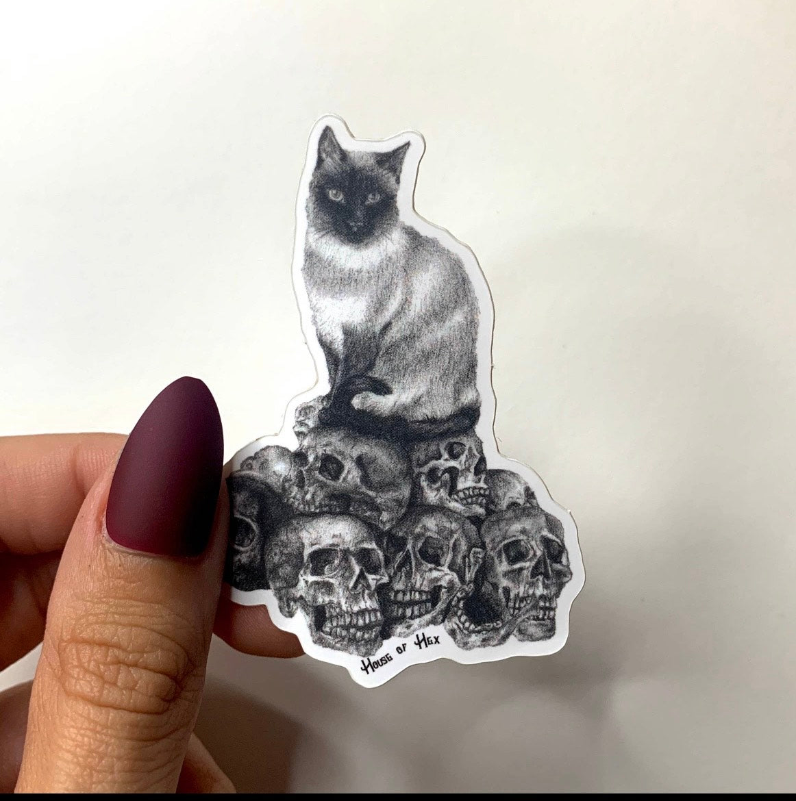 Cat Skull Sticker | dark decor | witchy decor | witch