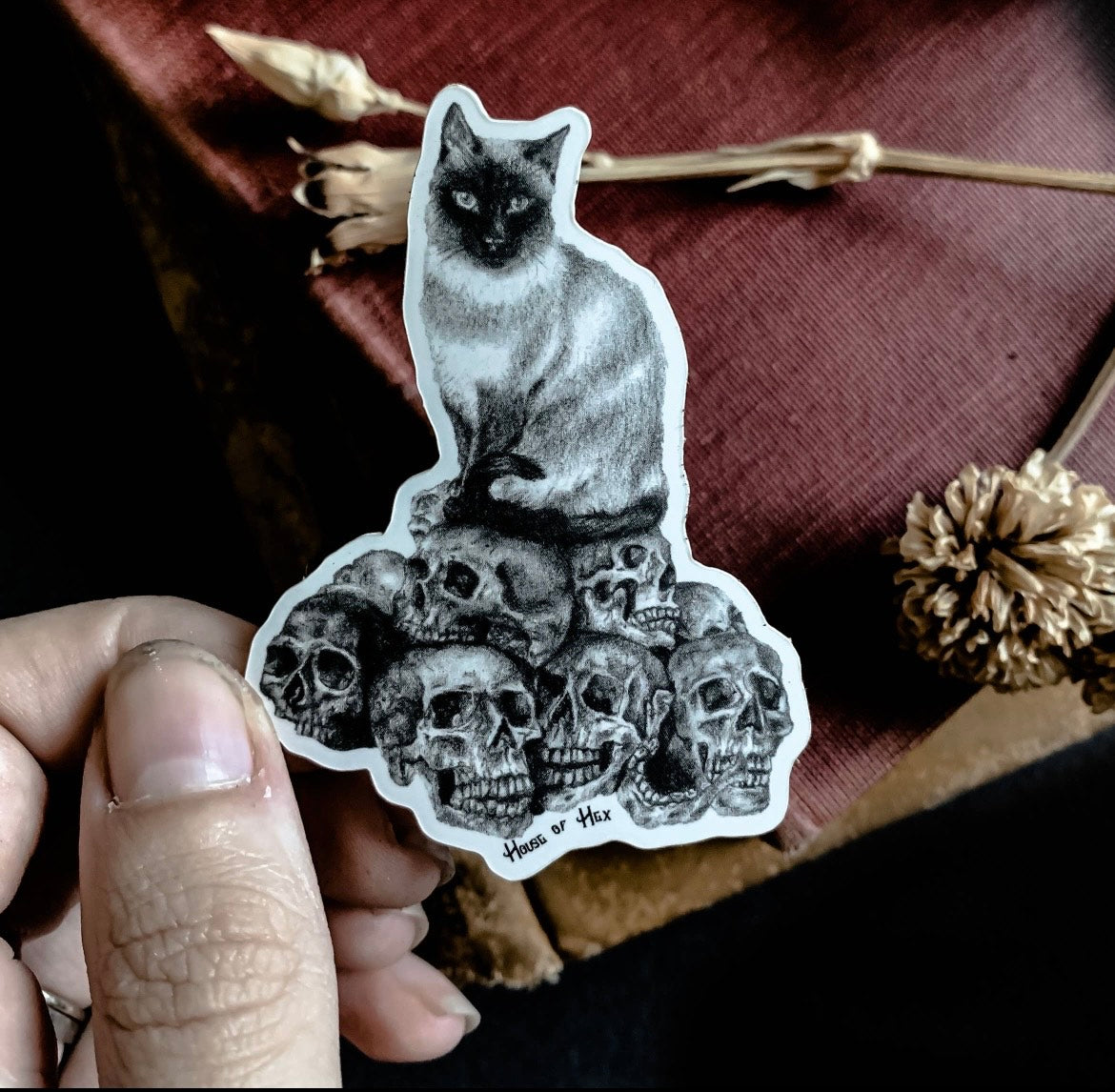 Cat Skull Sticker | dark decor | witchy decor | witch