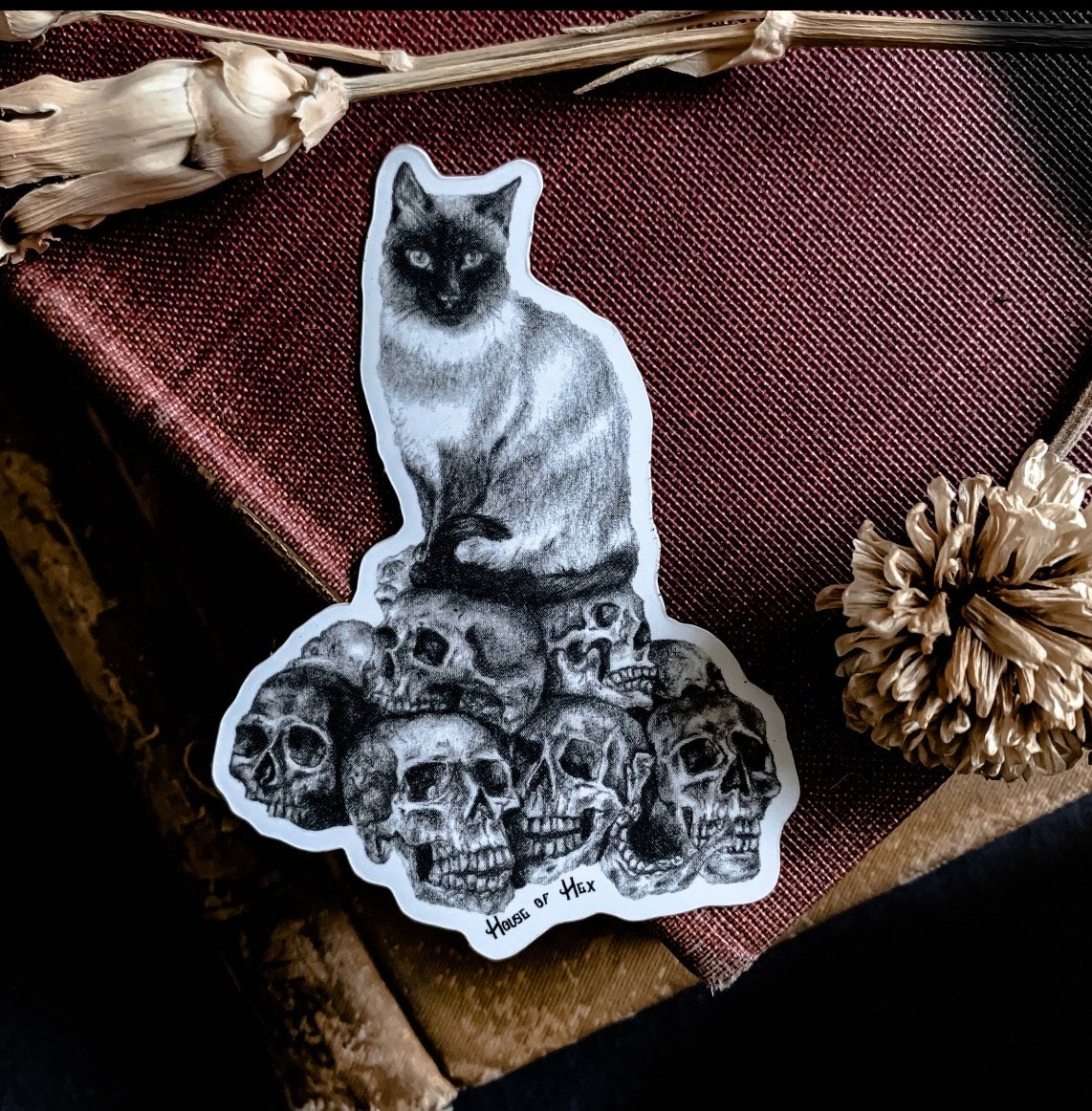 Cat Skull Sticker | dark decor | witchy decor | witch